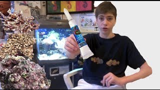 Where and How To Place Corals in a Reef Tank  Using Coral Glue [upl. by Bertero218]