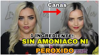 Matizador CASERO sin Peróxido ni AMONIACO para CANAS y Platinar cabello  lizzmuller [upl. by Brainard291]