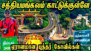 சத்தியமங்கலம் காடுகள்🌿💐  Thimbam  Sathyamangalam Forest  Odayarpalya   Mettur Senthil World [upl. by Flem]