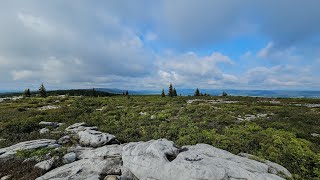 Soloing Dolly Sods Wilderness  Backpacking Vlog  4K [upl. by Oirom]