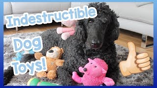 INDESTRUCTIBLE DOG TOYS Our Top 5 Indestructible Dog Toys for Dogs that are Heavy Chewers [upl. by Adle]