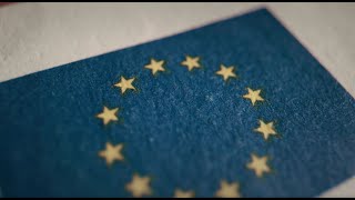 EU State Aid Policy [upl. by Nitz]