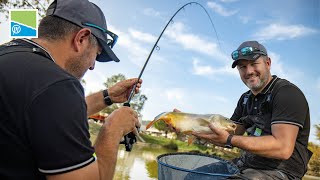 CARPES AU METHOD FEEDER  Avec Franck Butavand [upl. by Carothers901]