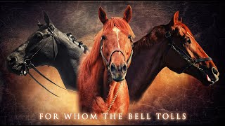 Rich Strike  Seabiscuit  Secretariat  For Whom the Bell Tolls [upl. by Orofselet]