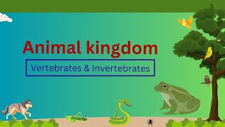 Classification of Vertebrates amp Invertebrates  Animal kingdom  Grade 7 [upl. by Ekim]