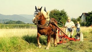 Historische HeuErnte 2012 in AchernFautenbach [upl. by Skip]