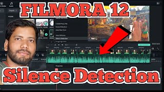 FILMORA 12 Silence Detection का use कैसे करें FILMORA12 [upl. by Aicatsue250]