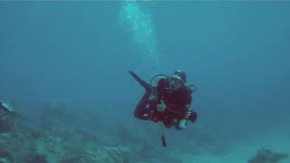 quotThe VERY Best Scuba Diving with Scuba Steve on Kauai quot 1 of 6 [upl. by Akli727]