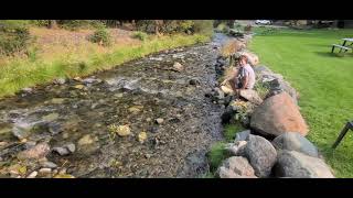 Kokanee Spawning In The Wallowa River [upl. by Paget]