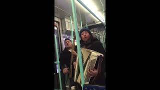 Constantine Constantine  Acordeon si Bas  tramvai Geneva 2016 live [upl. by Suanne]