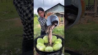 How to cook fish crispy with vegetable recipe shortvideo shorts cooking food recipe [upl. by Mignon]