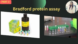 Bradford Protein Assay [upl. by Ielirol314]