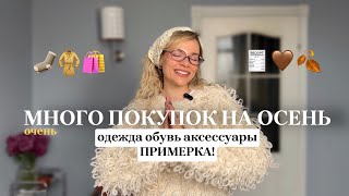 МОИ ПОКУПКИ НА холодную ОСЕНЬ 2425🧦🛍️ПРИМЕРКА обувь одежда аксессуары  ТРЕНДЫ 2024🤎 [upl. by Tertius]