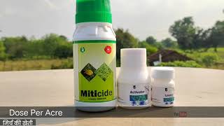 Mirch ki kheti मिर्च का वायरस कंट्रोल ऑर्गेनिक दवाई miticide Lysorus chilli Virus medicine [upl. by Baer]