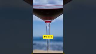 What If Wine Glass Doesnt Have Stem [upl. by Rozella]