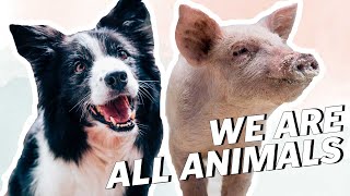 What Is SPECIESISM  LIVEKINDLY [upl. by Ripleigh819]