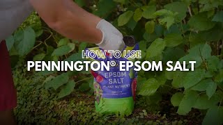 How to Use Pennington Epsom Salt [upl. by Sidran]