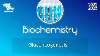 L11amp12carbohydrate metabolism34 gluconeogenesisampCoris cycleampglucose alanine cycle Biochemistry [upl. by Sidnarb]