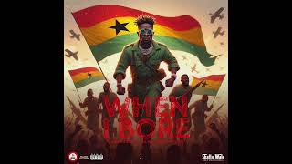 Shatta wale  When I Bore Official Audio [upl. by Eseekram]