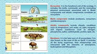 Functional Concepts of Ecology e lecture 9 [upl. by Dlanger]