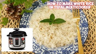 How To Make White Basmati Rice In Tefal Multicooker CY505E40 AllInOne  Instant Pot [upl. by Haimehen173]