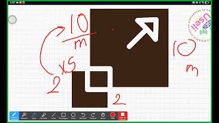 Literales figuras y sucesionesMatemáticas 2do grado [upl. by Werd]