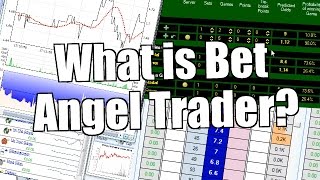 What is Bet Angel trader betfair [upl. by Phebe472]