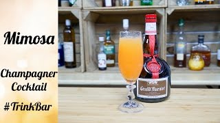 Mimosa  Champagner Cocktail  Rezept  TrinkBar [upl. by Shamma]