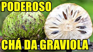 CHA DA GRAVIOLA CONTROLA AÇUCAR NO SANGUE DIABETE GLICEMIA PROBLEMAS NOS RINS PRESSÃO ARTERIAL [upl. by Charlton]