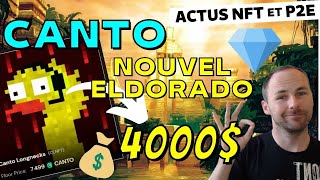 La folie NFT de la NOUVELLE BLOCKCHAIN CANTO 💰  Actu NFT amp WEB3 [upl. by Ver]