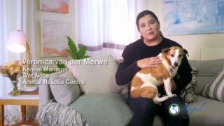 REGAL PET HEALTH  First TV advertisement English [upl. by Riane]