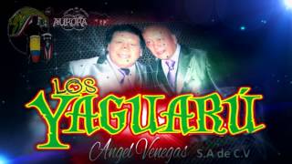 openings PRESENTACION VIDEO  GRUPO YAGUARU [upl. by Zeke920]