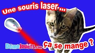 Nos chats jouent avec une souris laser  Démo Jouets [upl. by Akinaj]