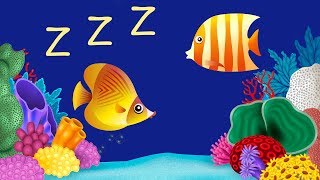 Bedtime Lullabies and Peaceful Fish Animation 2 Baby Lullaby [upl. by Roseanna697]