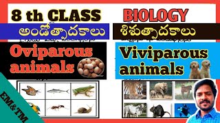 అండోత్పాదకాలుశిశుత్పాదకాలు తేడాలు oviparousviviparous animals differences [upl. by At]