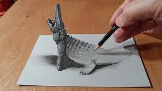 How To Draw A 3d Crocodile [upl. by Ayyn151]