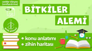 Bitkiler Alemi  TYT Biyoloji  9 Sınıf Biyoloji BitkilerAlemi YKS2022 sınıflandırma [upl. by Kery510]