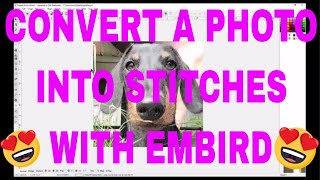 EMBIRD CLASS Convert a photo into stitches Embird Sfumato Stitch [upl. by Nealson383]