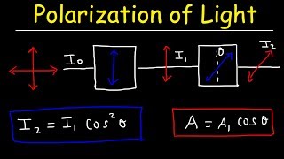 Polarization of light Problems Malus Law  Intensity amp Amplitude  Physics [upl. by Junie]