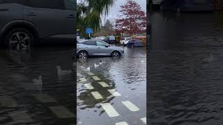 Twickenham Floods [upl. by Eilac]