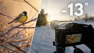 POV Nature Photography  Golden Winter Morning [upl. by Sulrac618]