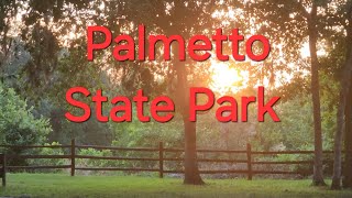 Camping at Palmetto State Park [upl. by Iinden]