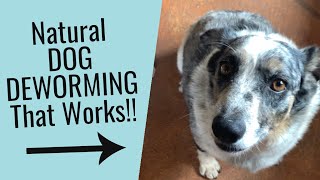 Natural Way to Worm Dogs with Diatomaceous Earth Fast [upl. by Ynahirb]