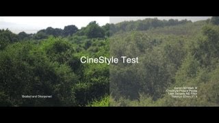 Canon 5D Mark III CineStyle Grade Comparison  An Afternoon on Heswall Dales Watch at 1080p [upl. by Hallimaj695]