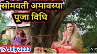 सोमवती अमावस्या पूजा विधि 2023 somvati amavasya Puja vidhi 2023 [upl. by Nyledaj]