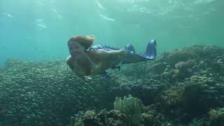 Mermaid Explores Coral Reef [upl. by Kosey]