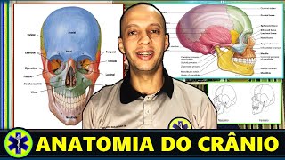 Aprenda a Anatomia do Crânio [upl. by Lash]