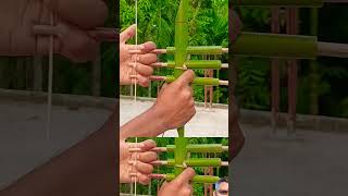 bamboo creation mambo amazing art videodiy bamboo BambooAmezingArt [upl. by Olzsal395]