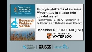 Ecological effects of invasive Phragmites in a Lake Erie coastal marsh [upl. by Jerad866]