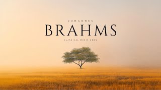 Best of Brahms  Classical Music Gems [upl. by Enoob99]